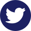 Twitter icon